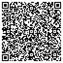 QR code with Pyco Industries Rail contacts