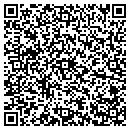 QR code with Profesional Driver contacts
