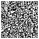 QR code with Brian Mcgreer contacts