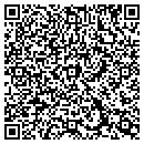 QR code with Carl Gisler Trucking contacts