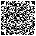 QR code with L&M Co contacts