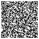 QR code with Cobb Donnie R & Dc Trans contacts