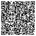 QR code with Media Transfer contacts