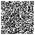 QR code with Allied contacts