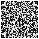 QR code with Professional Travel Service contacts