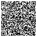 QR code with Amscot contacts