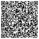 QR code with Spring Valley Buggy Shop contacts