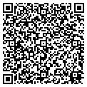 QR code with Excel contacts