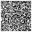 QR code with Premier Actions Corp contacts