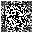 QR code with Psg Controls contacts