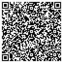 QR code with Pyxix Corporation contacts