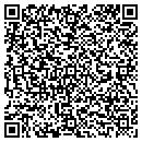 QR code with Bricks of Northville contacts