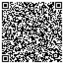QR code with Chaney Custom Services contacts