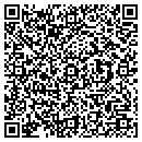 QR code with Pua Aina Inc contacts