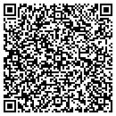QR code with Pvs Minibulk Inc contacts