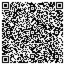 QR code with Custom Polymers LLC contacts