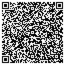 QR code with Clo 2 Safety System contacts