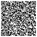 QR code with Precision Pools contacts