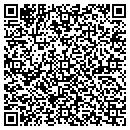 QR code with Pro Chemical & Dye Inc contacts