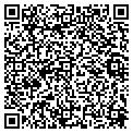 QR code with C-Tem contacts