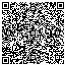 QR code with Custom Synthesis LLC contacts