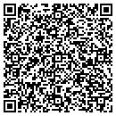 QR code with Cytec Industries Inc contacts