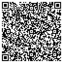 QR code with Pvs Technologies contacts