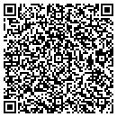 QR code with Pure Essence Formulas contacts