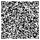 QR code with Pvs Technologies Inc contacts