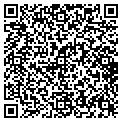 QR code with Vault contacts