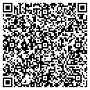 QR code with Precision Stone contacts