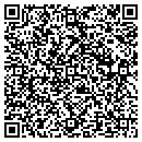 QR code with Premier Stone Works contacts