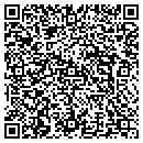 QR code with Blue Ridge Quarries contacts