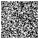 QR code with Pyramid Stone Mfg Inc contacts