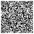 QR code with Precision Assemblies contacts