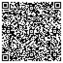 QR code with Premier Sheilding CO contacts