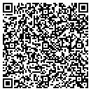 QR code with Precision Neon contacts