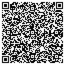 QR code with Precision Elements contacts