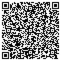QR code with Vital Elements contacts