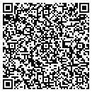 QR code with Boropharm LLC contacts
