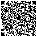QR code with Pq Corporation contacts