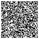 QR code with Pvs Technologies Inc contacts