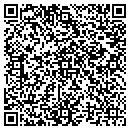 QR code with Boulder Ionics Corp contacts