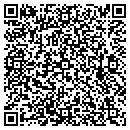 QR code with Chemdesign Corporation contacts