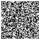 QR code with Public Works contacts