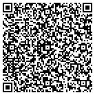 QR code with Blue Diamond Blueberries contacts