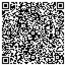 QR code with Profeesional Wallcovering contacts