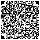 QR code with Professional Wallcovering contacts