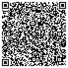 QR code with Ppg Industries Inc contacts