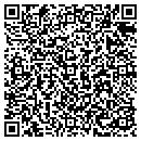 QR code with Ppg Industries Inc contacts